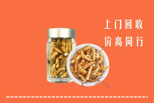 长兴县回收冬虫夏草