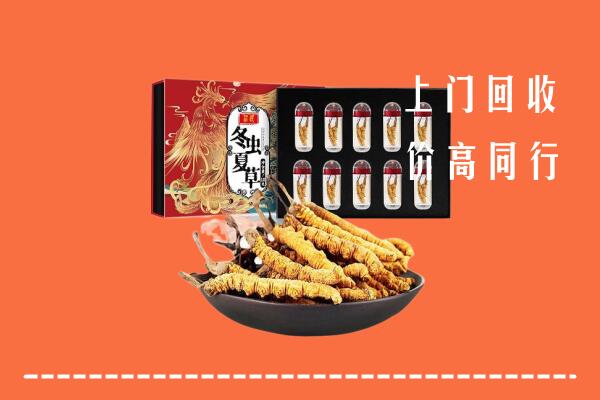 长兴县回收虫草